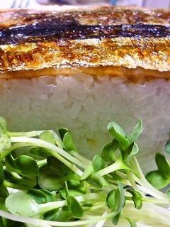 蒲焼秋刀魚の押し寿司-レシピのメイン写真