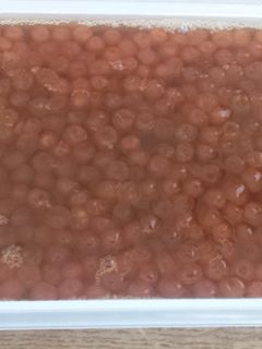 いくらの醤油漬け-レシピのメイン写真