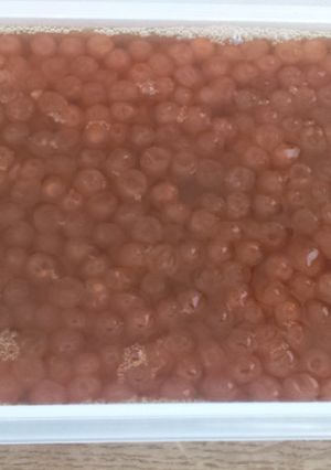 いくらの醤油漬け-レシピのメイン写真