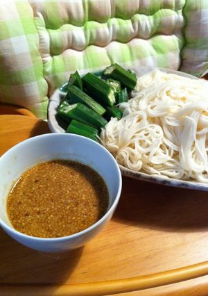 冬でも食べたいごま酢の麺-レシピのメイン写真