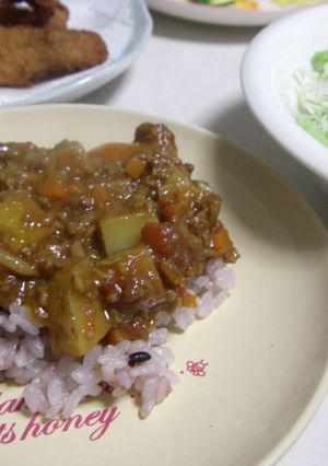 うちのドライカレー*゜✽。+*✽-レシピのメイン写真