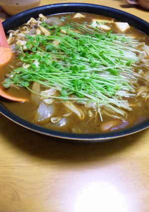 カレー鍋～フライパンで作っちゃいました～-レシピのメイン写真