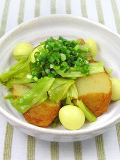 さつま揚のカレー煮-レシピのメイン写真