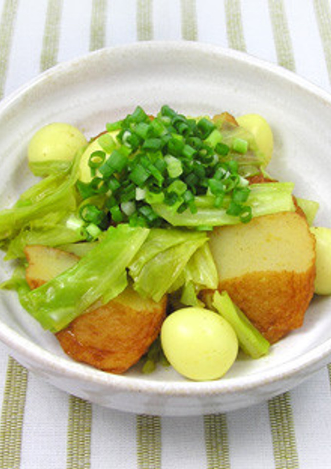 さつま揚のカレー煮-レシピのメイン写真
