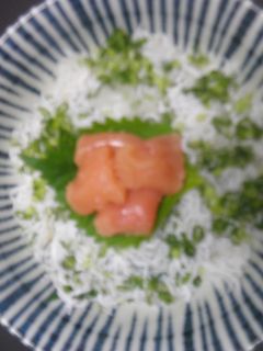 釜揚げしらすのおろし和え・タラコのせ丼!-レシピのメイン写真
