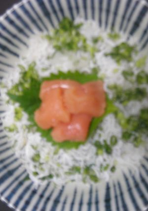 釜揚げしらすのおろし和え・タラコのせ丼！-レシピのメイン写真