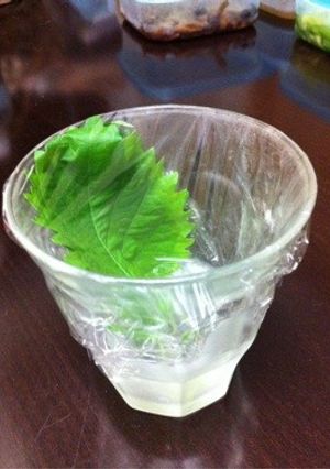 青じその保存方法☆-レシピのメイン写真