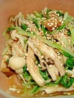 キノコと水菜の和え物-レシピのメイン写真