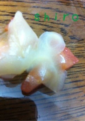 ガリトマト-レシピのメイン写真