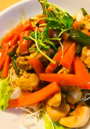 鶏肉とピーマン＆にんじんの緑黄食野菜炒め-レシピのメイン写真