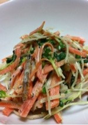 食物繊維たっぷりごぼうサラダ-レシピのメイン写真