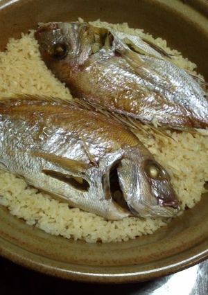 絶品☆土鍋で鯛飯-レシピのメイン写真