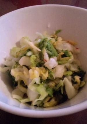 白菜の漬物-レシピのメイン写真