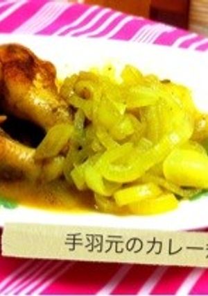 手羽元のカレー煮-レシピのメイン写真