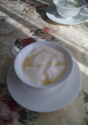 とろぷる杏仁豆腐-レシピのメイン写真