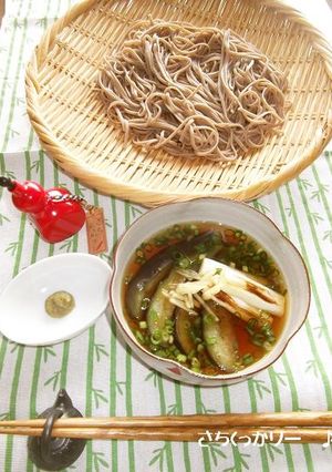 冷や熱★茄子蕎麦-レシピのメイン写真