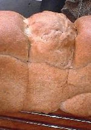 知ってる？？もち麦のミルク食パン-レシピのメイン写真