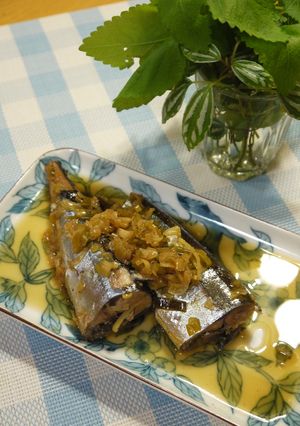 ねぎたっぷり！秋刀魚のしょうが煮-レシピのメイン写真