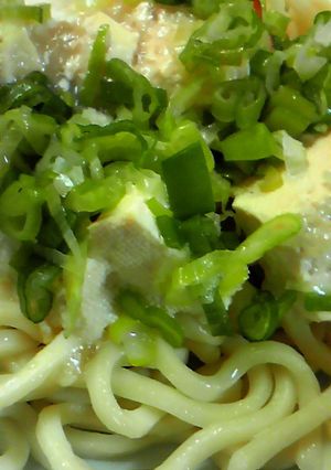 塩ねぎうどん-レシピのメイン写真