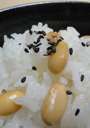 大地の恵み～大豆ごはん♪-レシピのメイン写真