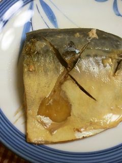 圧力鍋で鯖の水煮-レシピのメイン写真