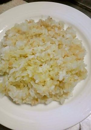 新玉ねぎが美味しい御飯-レシピのメイン写真