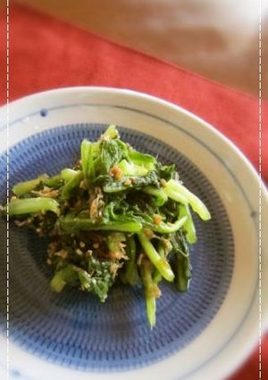 §野沢菜の〇めんつゆ〇で浅漬け§-レシピのメイン写真