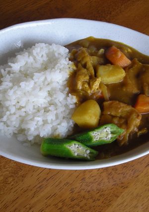 日食のカレーといえばこれ！ヘルシーカレー-レシピのメイン写真