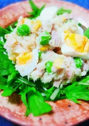 我が家の定番・まろやかツナポテトサラダ-レシピのメイン写真