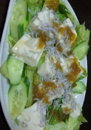 旨い！酒に合うじゃこ豆腐サラダ-レシピのメイン写真