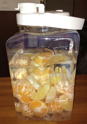 ウォッカで果実酒-レシピのメイン写真