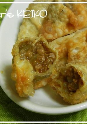 【農家のレシピ】カレーチーズ揚げ餃子-レシピのメイン写真