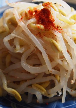 豆もやしのナムル-レシピのメイン写真