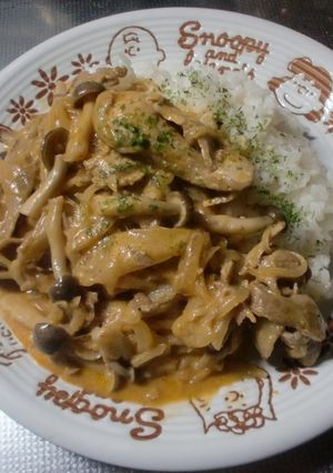 簡単DEストロガノフ-レシピのメイン写真