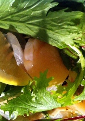 真鯛と帆立の豆腐サラダ-レシピのメイン写真