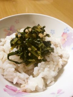 捨てないで!!カブの葉の佃煮風-レシピのメイン写真