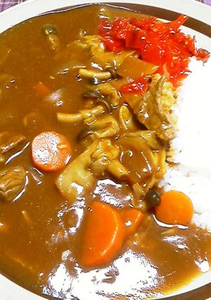 ウチの野菜たっぷりニンニクカレー-レシピのメイン写真