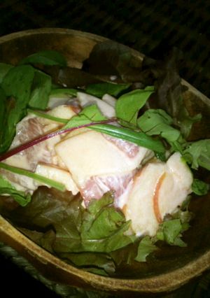 野菜ジュースdeりんごのサラダ-レシピのメイン写真