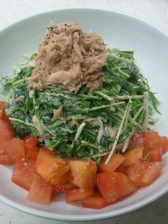 シャキ2&栄養ばっちり水菜と法蓮草サラダ-レシピのメイン写真