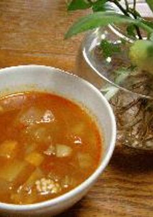 お鍋1つでミネストローネ!!-レシピのメイン写真