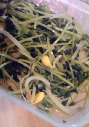 超速！豆苗だけのおひたしもどき-レシピのメイン写真
