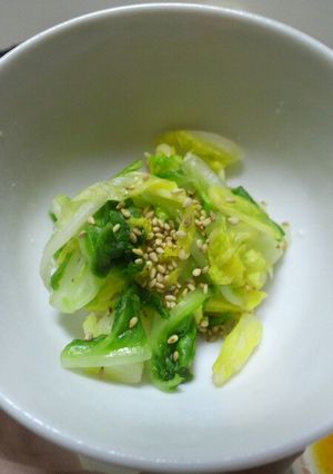 あっさりシンプル 白菜の漬物-レシピのメイン写真