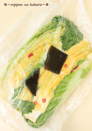 漬物桶不要！少量から昔ながらの白菜づけ-レシピのメイン写真