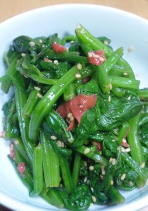 簡単♪ほうれん草の梅肉和え-レシピのメイン写真