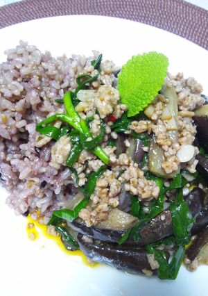 なすと豚ひき肉で簡単ガパオ!-レシピのメイン写真