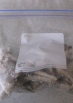 便利♫舞茸の冷凍保存-レシピのメイン写真