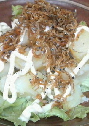 カリカリじゃことレッドムーンのサラダ-レシピのメイン写真