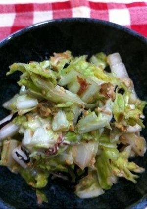 白菜のマヨサラダ-レシピのメイン写真