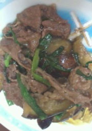 ピリ辛！！なすと牛肉の炒めもの-レシピのメイン写真