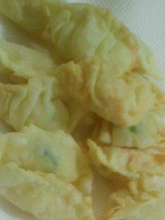 ポテトサラダで揚げ餃子-レシピのメイン写真